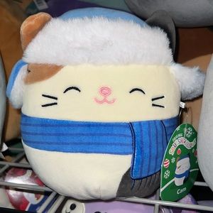 Cam the Cat with Trapper Hat